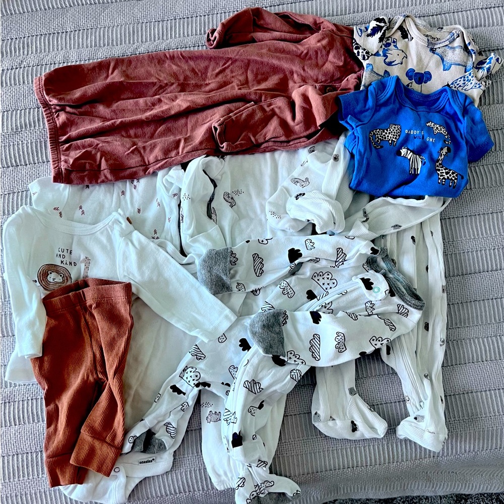New born 10 pieces (onesies, pajamas, outfits) Carters